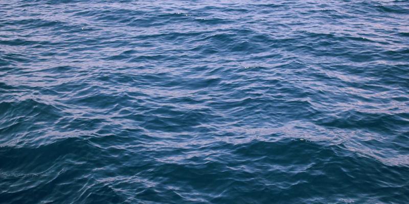 从典型案例看知识产权保护：版权、专利与法律咨询的关键作用