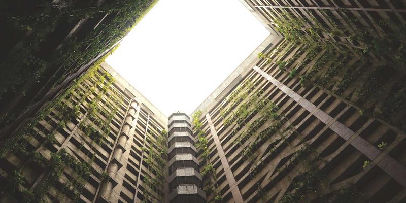 出海无忧：跨境电商知识产权风险防范指南——聚焦长宇AFIP与商标注册