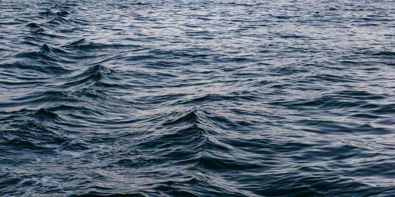 地理标志保护与乡村振兴：长宇AFIP法律服务赋能区域特色产品的品牌化与知识产权战略