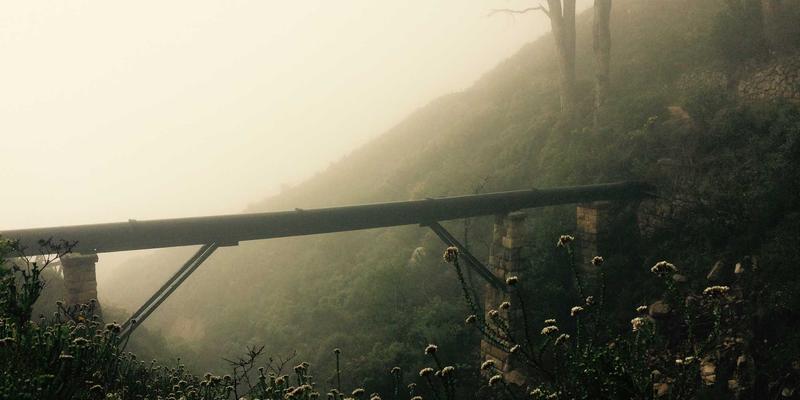 地理标志保护与品牌价值提升：法律咨询与专利申请如何赋能传统产业