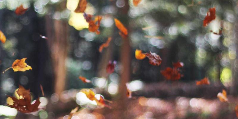 开源软件许可证合规：企业使用与贡献中的知识产权风险与法律应对