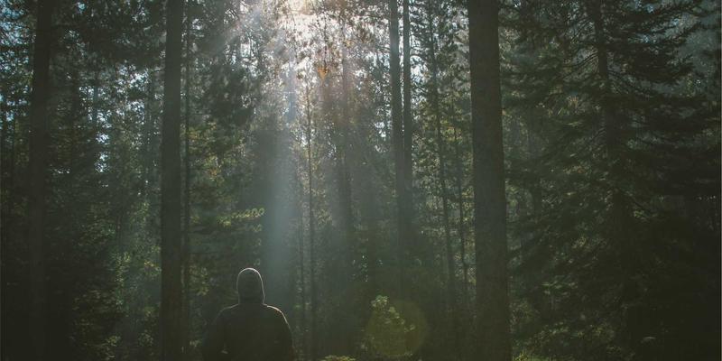 技术秘密（Know-How）的认定标准与司法保护路径分析 | 长宇AFIP法律咨询