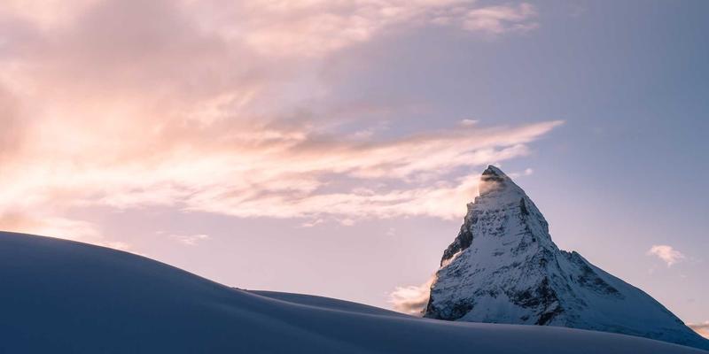 构筑现代农业核心竞争力：植物新品种权申请与保护的完整指南