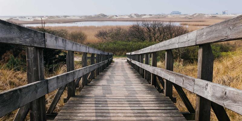 版权保护新挑战：员工离职引发的商业秘密风险与长宇AFIP竞业限制协议设计