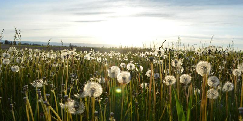 知识产权28：新时代版权保护的法律服务全景与战略应对