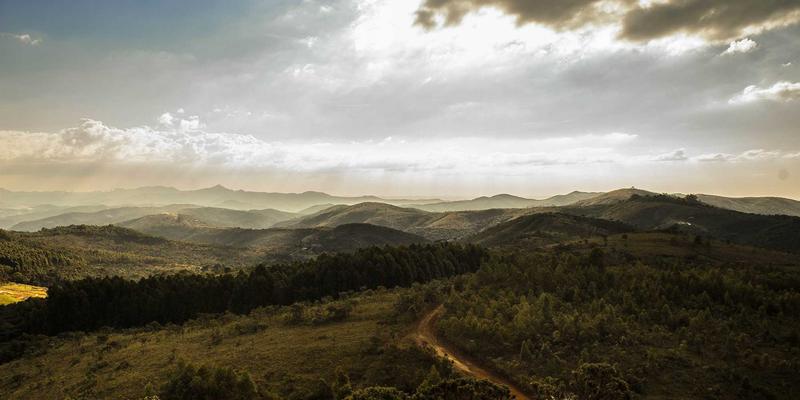 知识产权92：法律咨询、版权保护与专业法律服务全解析