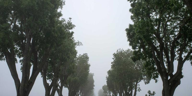 知识产权侵权诉讼中的证据保全与电子数据取证实务指南：法律咨询与版权保护的关键策略