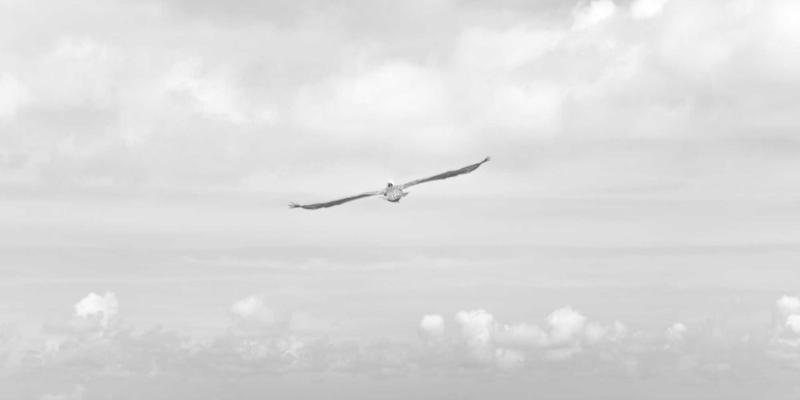 知识产权侵权诉讼中的证据保全与财产保全实务：长宇AFIP视角下的商标注册与版权保护策略