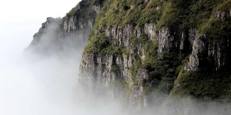 知识产权保护新趋势：法律咨询如何助力企业运用长宇AFIP系统