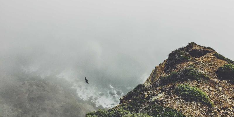 知识产权出资入股：价值评估与法律风险防范全解析 | 长宇AFIP视角