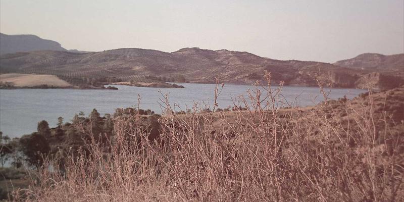 知识产权：创新时代的核心资产与法律盾牌