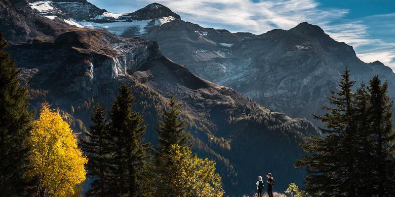知识产权海关保护备案与执法程序：长宇AFIP法律咨询助力企业跨境维权与风险隔离