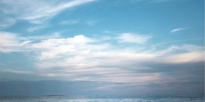 药品专利链接制度下，仿制药如何突破版权保护与专利申请壁垒？