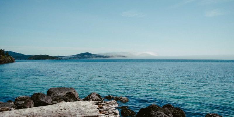 药品专利链接制度在中国落地：知识产权保护如何重塑医药创新与仿制格局