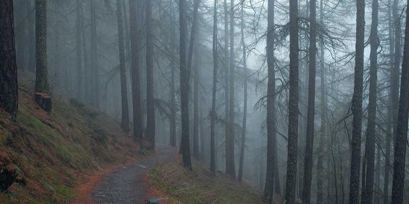 长宇AFIP：专业法律服务，筑牢企业知识产权护城河